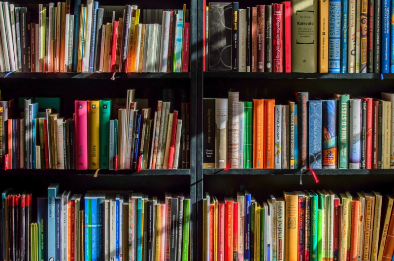 ecommerce-MONTFERRAT-min_books_bookstore_book_reading_shop_writer_sale_books_read-822866